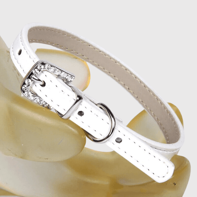 https://cdn.shopify.com/s/files/1/0763/9767/4819/files/Collier_petit_chien.png?v=1728490384