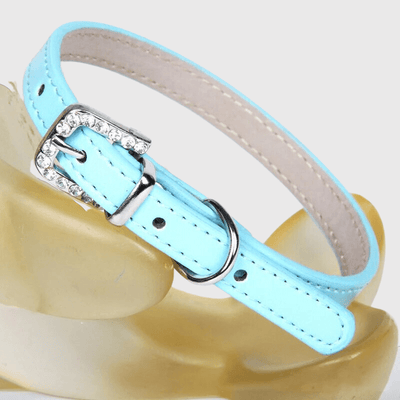 https://cdn.shopify.com/s/files/1/0763/9767/4819/files/Collier_petit_chien_bleu_ciel.png?v=1728490418