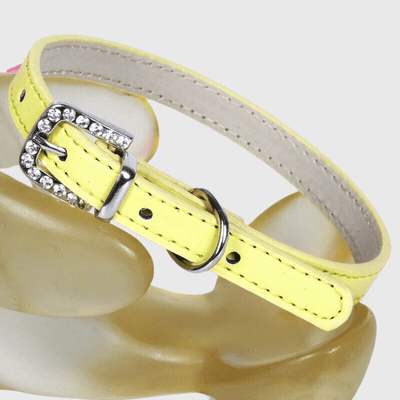 https://cdn.shopify.com/s/files/1/0763/9767/4819/files/Collier_petit_chien_jaune.png?v=1728490487