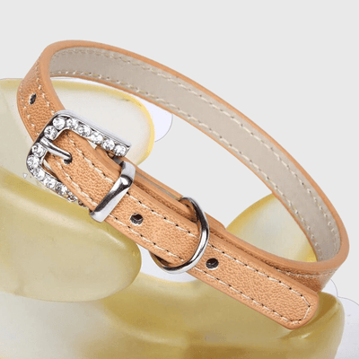 https://cdn.shopify.com/s/files/1/0763/9767/4819/files/Collier_petit_chien_marron.png?v=1728490431