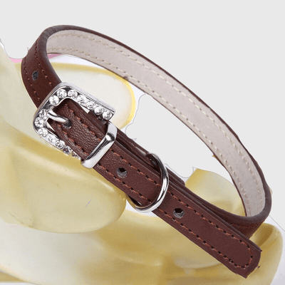 https://cdn.shopify.com/s/files/1/0763/9767/4819/files/Collier_petit_chien_marron_fonce.png?v=1728490579