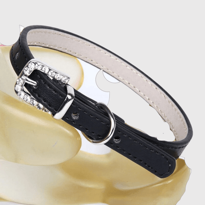 https://cdn.shopify.com/s/files/1/0763/9767/4819/files/Collier_petit_chien_noir.png?v=1728490593