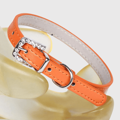 https://cdn.shopify.com/s/files/1/0763/9767/4819/files/Collier_petit_chien_orange.png?v=1728490501