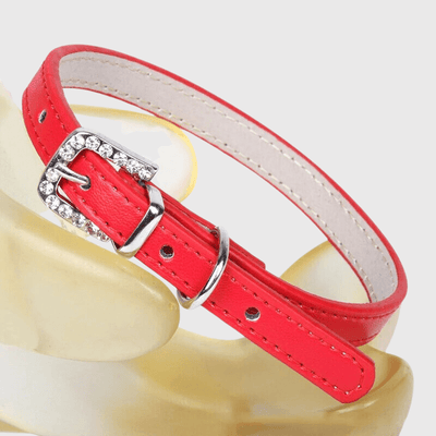 https://cdn.shopify.com/s/files/1/0763/9767/4819/files/Collier_petit_chien_rpuge.png?v=1728490457