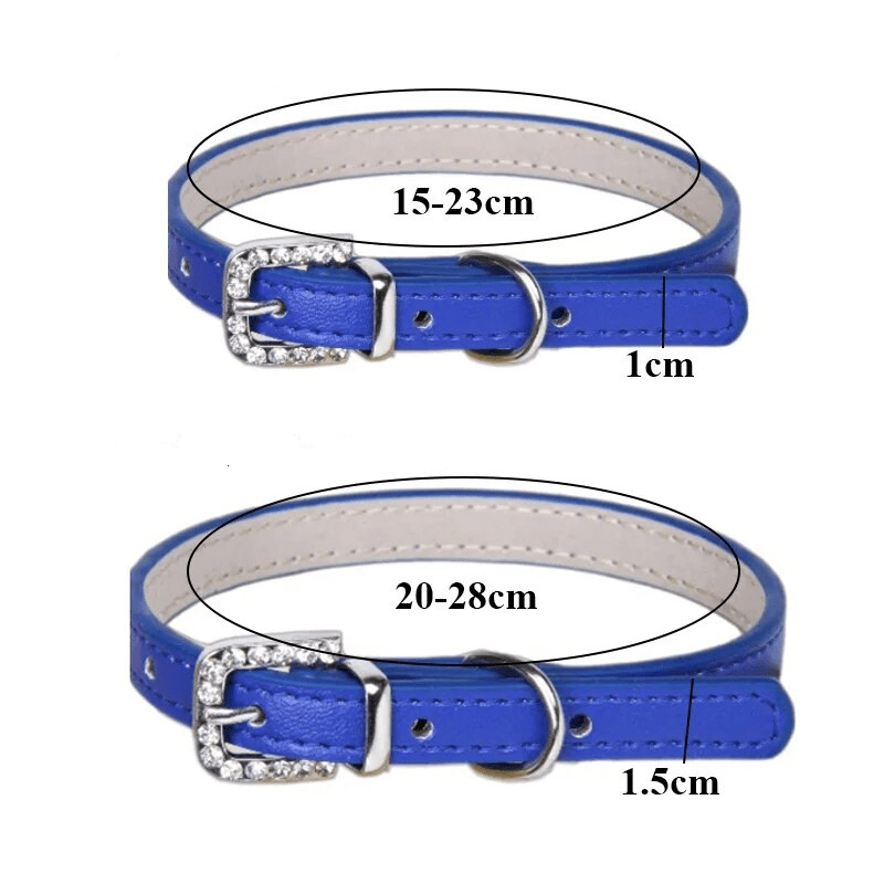 https://cdn.shopify.com/s/files/1/0763/9767/4819/files/Collier_petit_chien.png?v=1728490384
