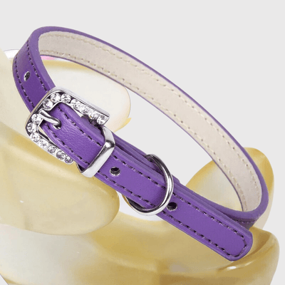 https://cdn.shopify.com/s/files/1/0763/9767/4819/files/Collier_petit_chien_violet.png?v=1728490543