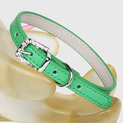 https://cdn.shopify.com/s/files/1/0763/9767/4819/files/Collier_petit_chien_vz.png?v=1728490470