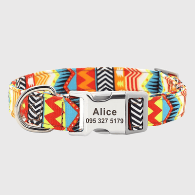 https://cdn.shopify.com/s/files/1/0763/9767/4819/files/Collier_pour_Chien_Personnalise_17.png?v=1728488720