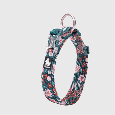 https://cdn.shopify.com/s/files/1/0763/9767/4819/files/Collier_pour_chien_True_Love_fleur_bleu_ciel.png?v=1745334225