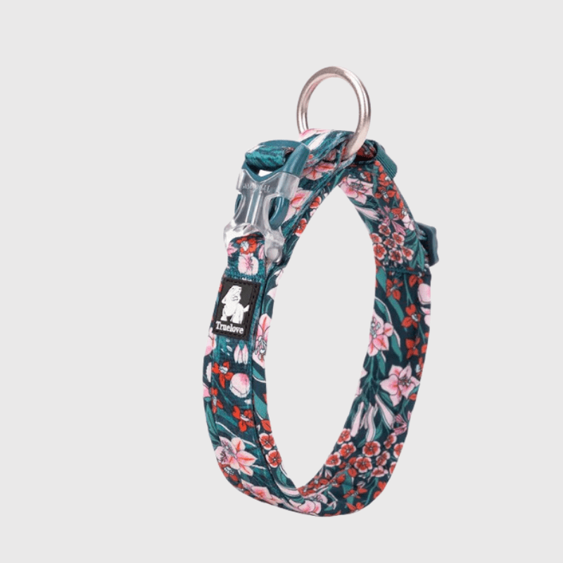 https://cdn.shopify.com/s/files/1/0763/9767/4819/files/Collier_pour_chien_True_Love_chihuahua.png?v=1745334243