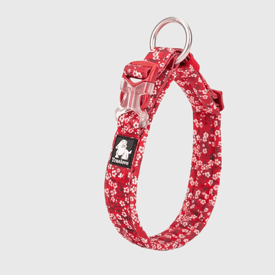 https://cdn.shopify.com/s/files/1/0763/9767/4819/files/Collier_pour_chien_True_Love_rouge.png?v=1745334225