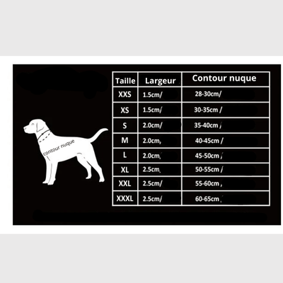 https://cdn.shopify.com/s/files/1/0763/9767/4819/files/Collier_pour_chien_True_Love_taille.png?v=1745334225