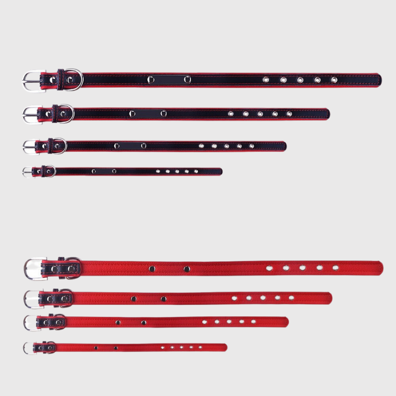 https://cdn.shopify.com/s/files/1/0763/9767/4819/files/Collier_pour_chien_avec_medaille_personnalise_differentes_tailles.png?v=1744735730