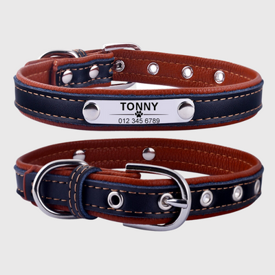 https://cdn.shopify.com/s/files/1/0763/9767/4819/files/Collier_pour_chien_avec_medaille_personnalise_marron.png?v=1744735730