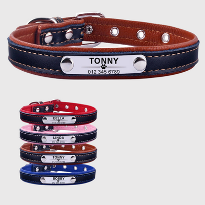 https://cdn.shopify.com/s/files/1/0763/9767/4819/files/Collier_pour_chien_avec_medaille_personnalise_modele.png?v=1744735730