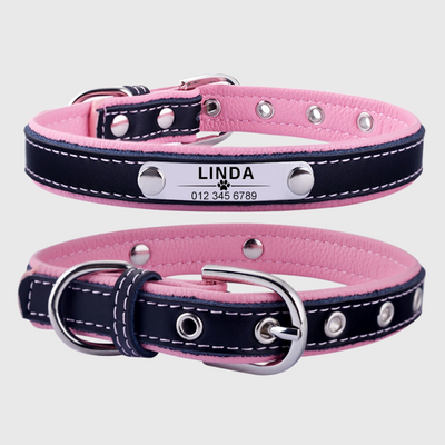 https://cdn.shopify.com/s/files/1/0763/9767/4819/files/Collier_pour_chien_avec_medaille_personnalise_rose.png?v=1744735730