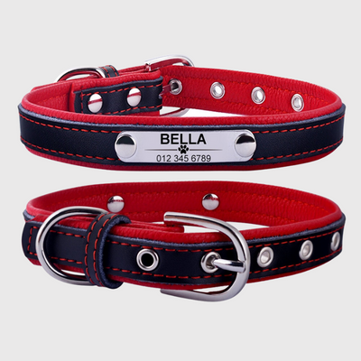 https://cdn.shopify.com/s/files/1/0763/9767/4819/files/Collier_pour_chien_avec_medaille_personnalise_rouge.png?v=1744735730
