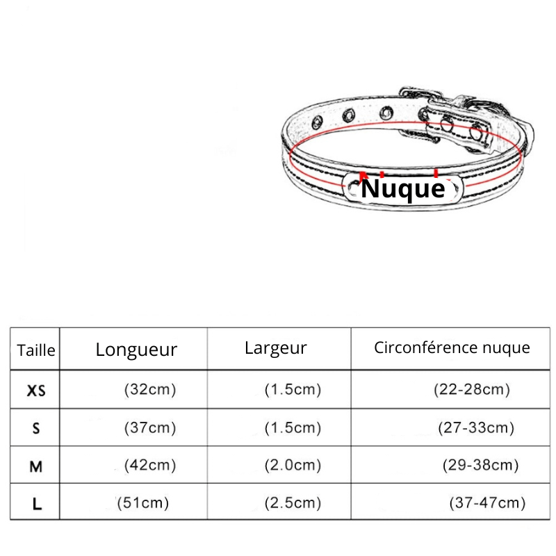 https://cdn.shopify.com/s/files/1/0763/9767/4819/files/Collier_pour_chien_avec_medaille_personnalise_taille.png?v=1744735730