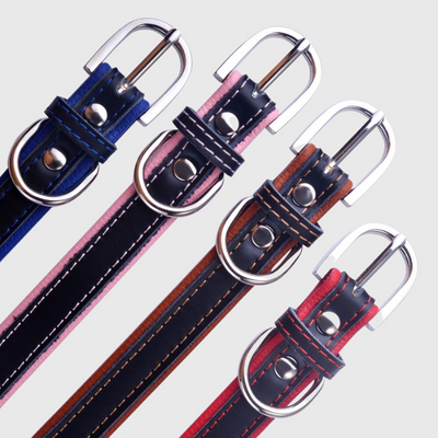 https://cdn.shopify.com/s/files/1/0763/9767/4819/files/Collier_pour_chien_avec_medaille_personnalise_zoom_fermeture.png?v=1744735730