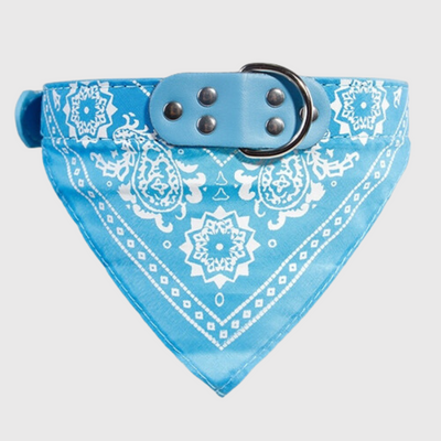 https://cdn.shopify.com/s/files/1/0763/9767/4819/files/Collier_pour_chien_bandana_bleu_clair.png?v=1701357354