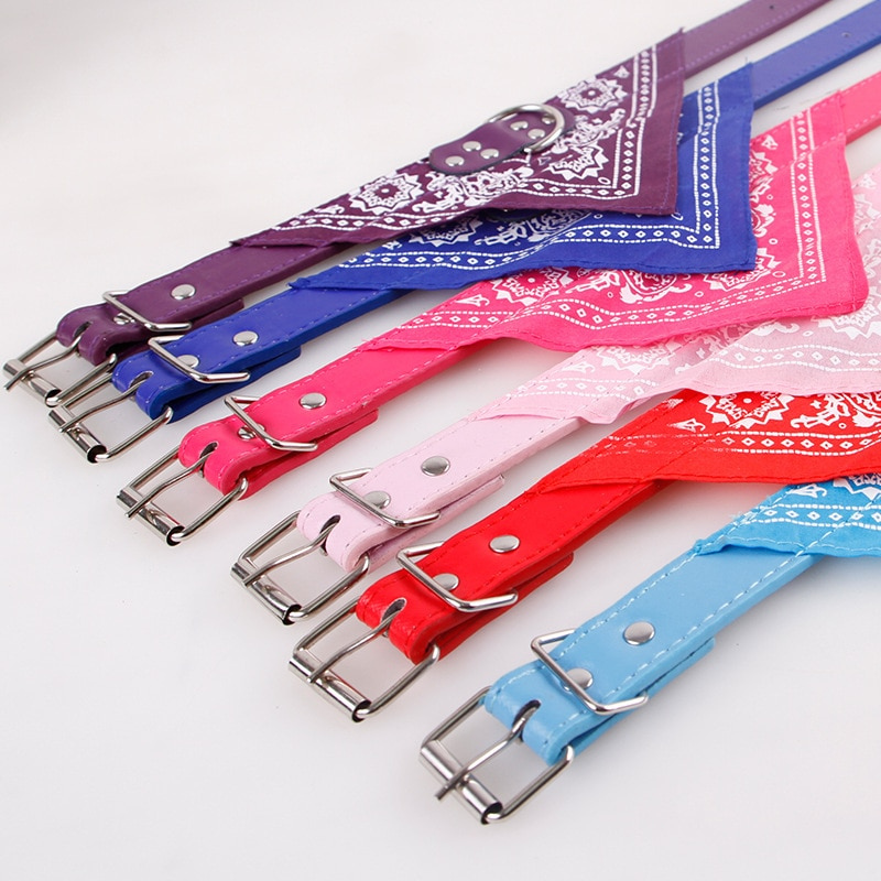 https://cdn.shopify.com/s/files/1/0763/9767/4819/files/Collier_pour_chien_bandana_modele.png?v=1691067360
