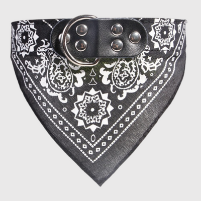 https://cdn.shopify.com/s/files/1/0763/9767/4819/files/Collier_pour_chien_bandana_noir.png?v=1699381953