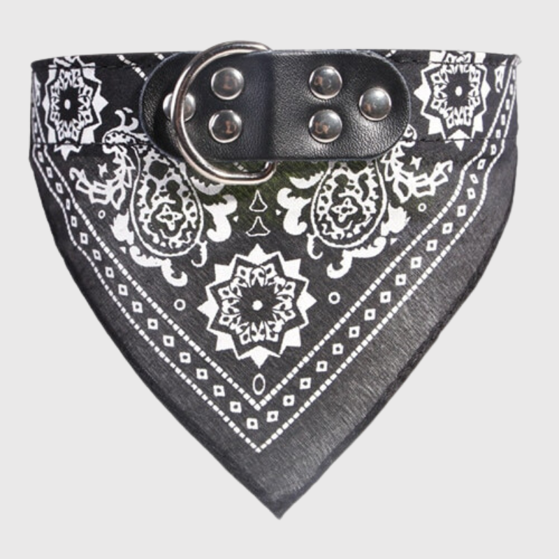 https://cdn.shopify.com/s/files/1/0763/9767/4819/files/Collier_pour_chien_bandana_modele.png?v=1691067360