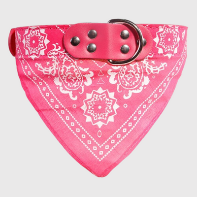 https://cdn.shopify.com/s/files/1/0763/9767/4819/files/Collier_pour_chien_bandana_rose_fonce.png?v=1701357354