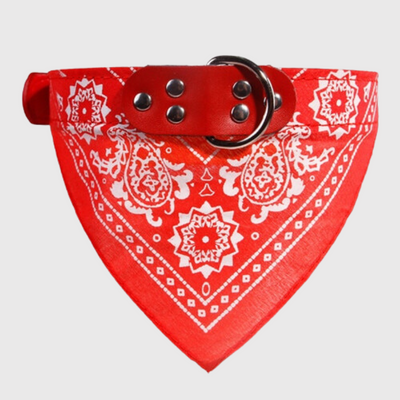 https://cdn.shopify.com/s/files/1/0763/9767/4819/files/Collier_pour_chien_bandana_rouge.png?v=1701357354