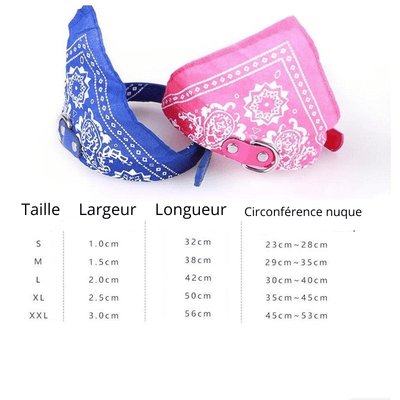 https://cdn.shopify.com/s/files/1/0763/9767/4819/files/Collier_pour_chien_bandana_taille.png?v=1701357354