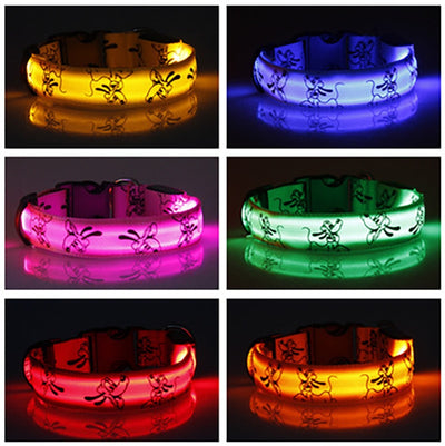 https://cdn.shopify.com/s/files/1/0763/9767/4819/files/Collier_pour_chien_de_chasse_fluo.jpg?v=1745332108