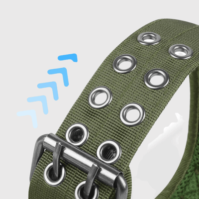 https://cdn.shopify.com/s/files/1/0763/9767/4819/files/Collier_pour_grand_chien_fermeture.png?v=1745333477