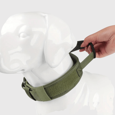 https://cdn.shopify.com/s/files/1/0763/9767/4819/files/Collier_pour_grand_chien_malinois.png?v=1745333477