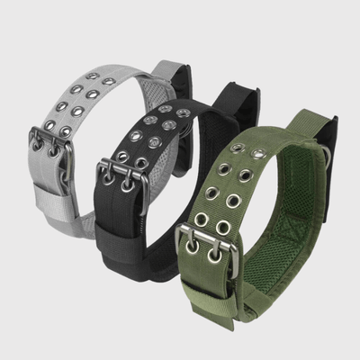 https://cdn.shopify.com/s/files/1/0763/9767/4819/files/Collier_pour_grand_chien_modele.png?v=1745333477