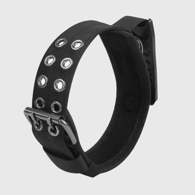 https://cdn.shopify.com/s/files/1/0763/9767/4819/files/Collier_pour_grand_chien_noir.png?v=1745333477