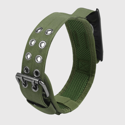 https://cdn.shopify.com/s/files/1/0763/9767/4819/files/Collier_pour_grand_chien_vert.png?v=1745333477
