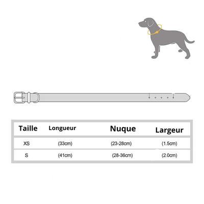 https://cdn.shopify.com/s/files/1/0763/9767/4819/files/Collier_pour_petit_chien_personnalise_Taille.png?v=1699969857
