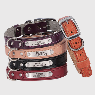 https://cdn.shopify.com/s/files/1/0763/9767/4819/files/Collier_pour_petit_chien_personnalise_colliers_modele.png?v=1699969857