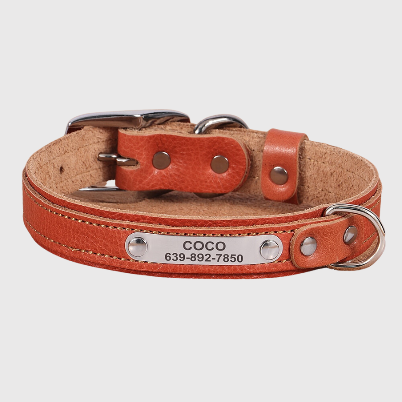 https://cdn.shopify.com/s/files/1/0763/9767/4819/files/Collier_pour_petit_chien_personnalise_rose.png?v=1691599231