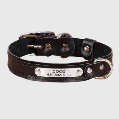 https://cdn.shopify.com/s/files/1/0763/9767/4819/files/Collier_pour_petit_chien_personnalise_noir.png?v=1691599231
