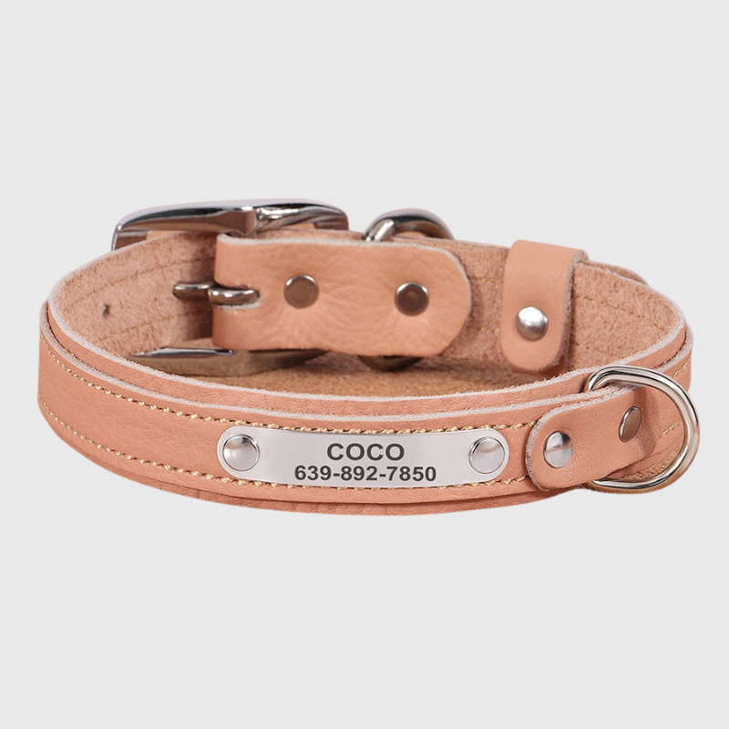 https://cdn.shopify.com/s/files/1/0763/9767/4819/files/Collier_pour_petit_chien_personnalise_rose.png?v=1691599231