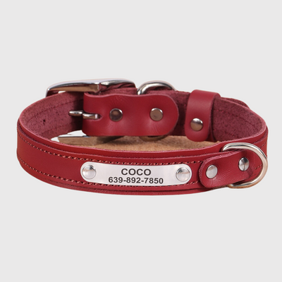https://cdn.shopify.com/s/files/1/0763/9767/4819/files/Collier_pour_petit_chien_personnalise_rouge.png?v=1691599231