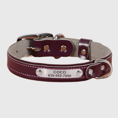 https://cdn.shopify.com/s/files/1/0763/9767/4819/files/Collier_pour_petit_chien_personnalise_violet.png?v=1691599231