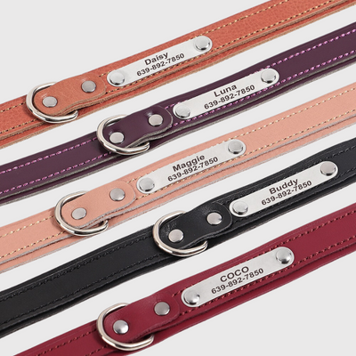 https://cdn.shopify.com/s/files/1/0763/9767/4819/files/Collier_pour_petit_chien_personnalise_zoom_colliers.png?v=1699969857