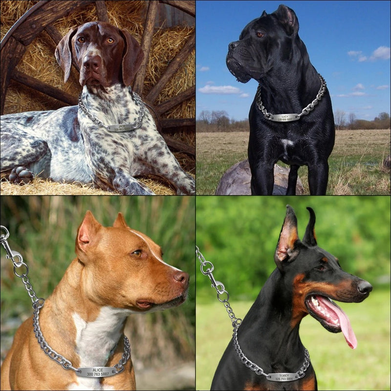 Collier ras-de-cou avec identification pour chien