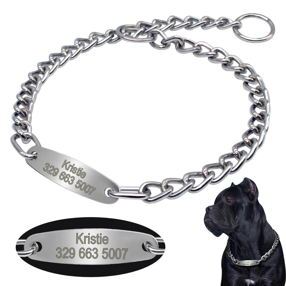 Collier ras-de-cou avec identification pour chien