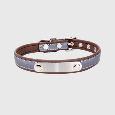 https://cdn.shopify.com/s/files/1/0763/9767/4819/files/Collier_reflechissant_personnalisable_pour_chien_marron_cafe.png?v=1769014562