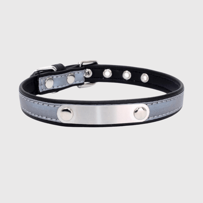 https://cdn.shopify.com/s/files/1/0763/9767/4819/files/Collier_reflechissant_personnalisable_pour_chien_noir.png?v=1769014562