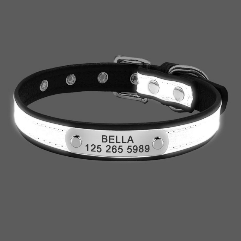 https://cdn.shopify.com/s/files/1/0763/9767/4819/files/collier-reflechissant-personnalisable-pour-chien.png?v=1769014562