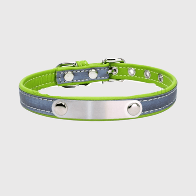 https://cdn.shopify.com/s/files/1/0763/9767/4819/files/Collier_reflechissant_personnalisable_pour_chien_vert.png?v=1769014562